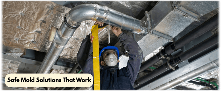 Air Duct Mold Removal in Denton TX