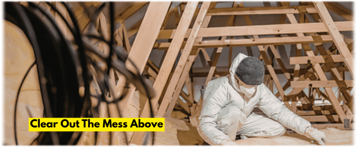 Attic Cleaning Denton TX