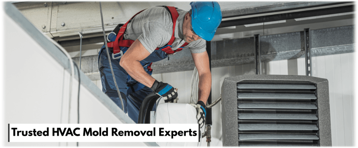 HVAC Mold Removal Denton TX